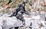 big foot.jpg
