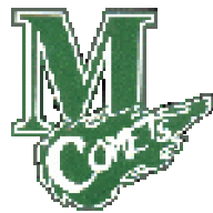 MasonComet