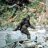 TheBigFoot