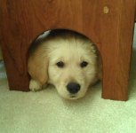 titan_under_end_table.jpg