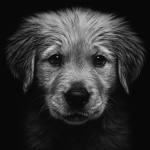 titan_puppy_portrait.png