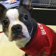TheOhioState