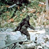 TheBigFoot