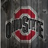 27buckeye27