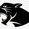 PANTHERFAN15