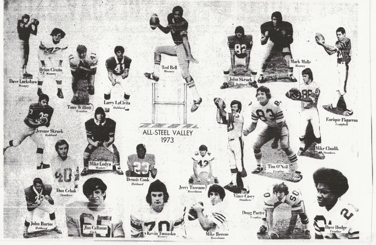 1973 All-SVC Football Team Pic.PNG