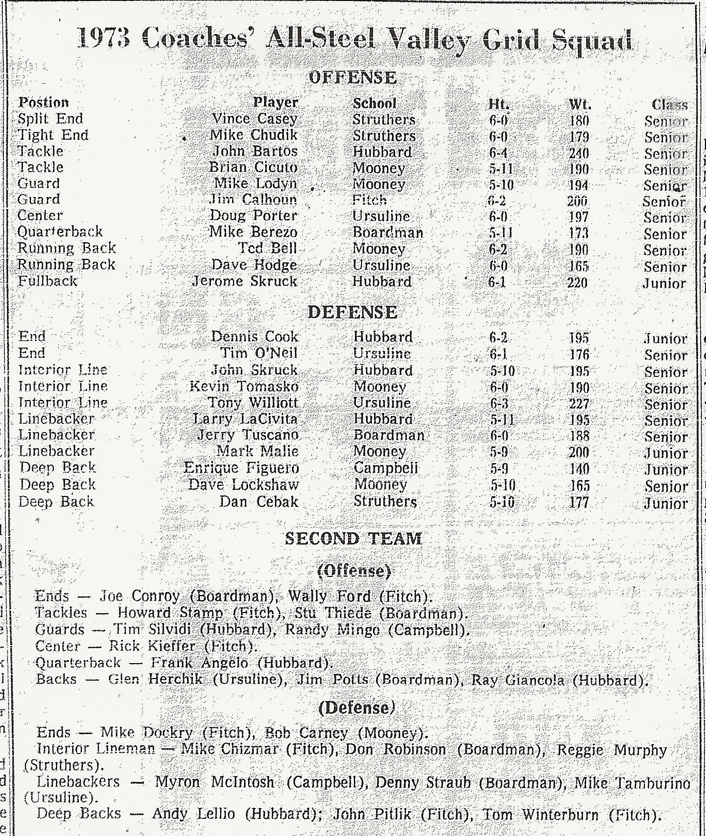 1973 All-SVC Football Team Text.PNG