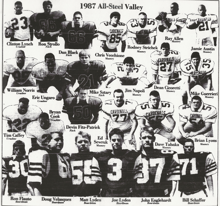 1987 All-SVC Football Team Pic.PNG