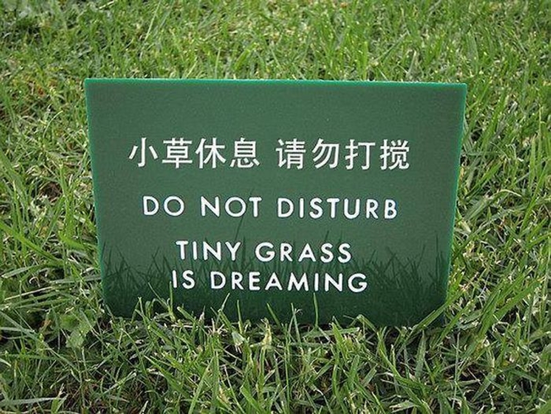 Tiny Grass.jpg